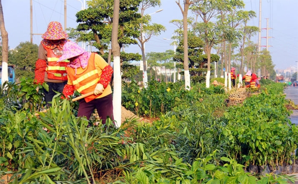 芜湖绿化项目施工、维护